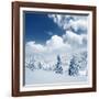 Beautiful Winter Landscape with Snow Covered Trees-Leonid Tit-Framed Photographic Print