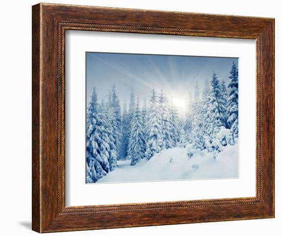 Beautiful Winter Landscape with Snow Covered Trees-Leonid Tit-Framed Photographic Print