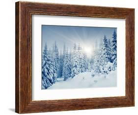 Beautiful Winter Landscape with Snow Covered Trees-Leonid Tit-Framed Photographic Print