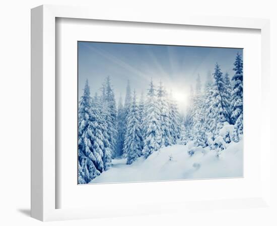 Beautiful Winter Landscape with Snow Covered Trees-Leonid Tit-Framed Photographic Print