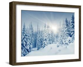 Beautiful Winter Landscape with Snow Covered Trees-Leonid Tit-Framed Photographic Print