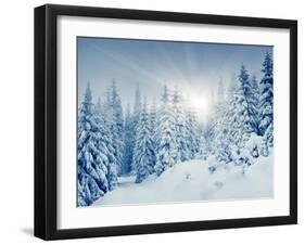 Beautiful Winter Landscape with Snow Covered Trees-Leonid Tit-Framed Photographic Print