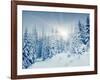 Beautiful Winter Landscape with Snow Covered Trees-Leonid Tit-Framed Photographic Print