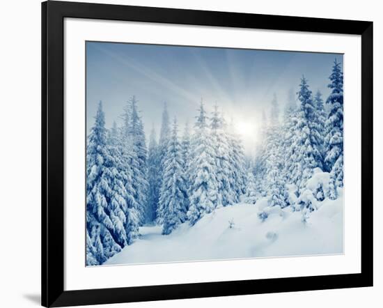 Beautiful Winter Landscape with Snow Covered Trees-Leonid Tit-Framed Photographic Print