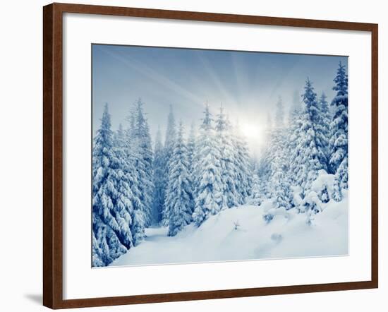 Beautiful Winter Landscape with Snow Covered Trees-Leonid Tit-Framed Photographic Print