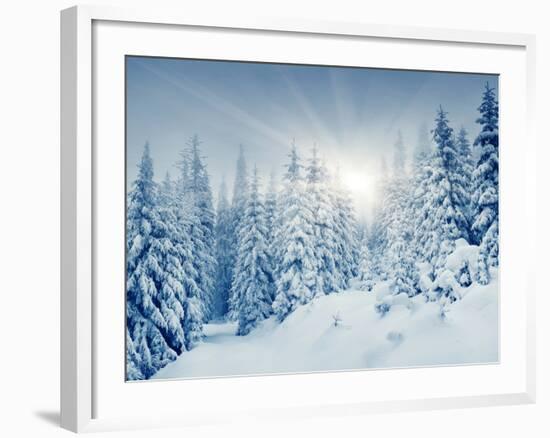 Beautiful Winter Landscape with Snow Covered Trees-Leonid Tit-Framed Photographic Print