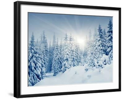 Picture Poster Art Scenic Framed Print Frosty Snow Covered Pink Winter Trees 