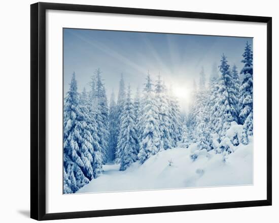 Beautiful Winter Landscape with Snow Covered Trees-Leonid Tit-Framed Photographic Print