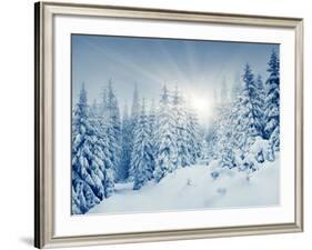 Beautiful Winter Landscape with Snow Covered Trees-Leonid Tit-Framed Photographic Print