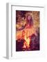 Beautiful Witch in the Woods near the Fire. Magic Woman Celebrating Halloween. Girl Doing Witchcraf-Miramiska-Framed Photographic Print