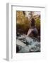 Beautiful Woman in Fairy Forest near a Stream-Miramiska-Framed Photographic Print