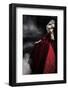 Beautiful Woman Wearing Red Dress over A Train-Studio10Artur-Framed Photographic Print