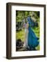 Beautiful Woman with Blue Cloak Posing Outdoor-mirceab-Framed Photographic Print