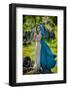 Beautiful Woman with Blue Cloak Posing Outdoor-mirceab-Framed Photographic Print