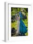 Beautiful Woman with Blue Cloak Posing Outdoor-mirceab-Framed Photographic Print