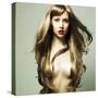 Beautiful Woman with Magnificent Hair-George Mayer-Stretched Canvas