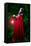 Beautiful Woman with Red Cloak and Lantern in the Woods-mirceab-Framed Stretched Canvas