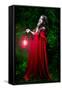 Beautiful Woman with Red Cloak and Lantern in the Woods-mirceab-Framed Stretched Canvas