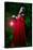 Beautiful Woman with Red Cloak and Lantern in the Woods-mirceab-Stretched Canvas