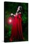 Beautiful Woman with Red Cloak and Lantern in the Woods-mirceab-Stretched Canvas