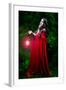 Beautiful Woman with Red Cloak and Lantern in the Woods-mirceab-Framed Photographic Print