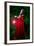 Beautiful Woman with Red Cloak and Lantern in the Woods-mirceab-Framed Photographic Print