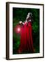 Beautiful Woman with Red Cloak and Lantern in the Woods-mirceab-Framed Photographic Print