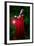 Beautiful Woman with Red Cloak and Lantern in the Woods-mirceab-Framed Photographic Print