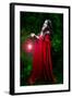 Beautiful Woman with Red Cloak and Lantern in the Woods-mirceab-Framed Photographic Print