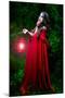 Beautiful Woman with Red Cloak and Lantern in the Woods-mirceab-Mounted Photographic Print
