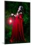 Beautiful Woman with Red Cloak and Lantern in the Woods-mirceab-Mounted Photographic Print