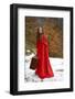 Beautiful Woman with Red Cloak and Suitcase-geanina bechea-Framed Photographic Print