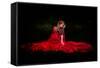 Beautiful Woman with Red Cloak in the Woods by Night-mirceab-Framed Stretched Canvas