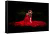 Beautiful Woman with Red Cloak in the Woods by Night-mirceab-Framed Stretched Canvas