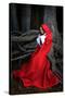 Beautiful Woman with Red Cloak Posing in the Woods-mirceab-Stretched Canvas