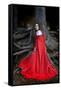 Beautiful Woman with Red Cloak Posing in the Woods-mirceab-Framed Stretched Canvas