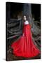 Beautiful Woman with Red Cloak Posing in the Woods-mirceab-Stretched Canvas