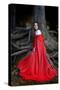 Beautiful Woman with Red Cloak Posing in the Woods-mirceab-Stretched Canvas