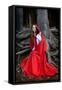 Beautiful Woman with Red Cloak Posing in the Woods-mirceab-Framed Stretched Canvas