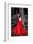 Beautiful Woman with Red Cloak Posing in the Woods-mirceab-Framed Photographic Print