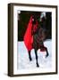 Beautiful Woman with Red Cloak with Horse Outdoor in Winter-mirceab-Framed Premium Photographic Print