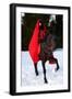 Beautiful Woman with Red Cloak with Horse Outdoor in Winter-mirceab-Framed Premium Photographic Print