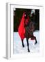 Beautiful Woman with Red Cloak with Horse Outdoor in Winter-mirceab-Framed Premium Photographic Print