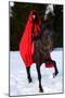 Beautiful Woman with Red Cloak with Horse Outdoor in Winter-mirceab-Mounted Premium Photographic Print