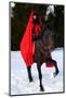 Beautiful Woman with Red Cloak with Horse Outdoor in Winter-mirceab-Mounted Photographic Print