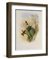 Beautiful Wood Star, Calothorax Pulchra-John Gould-Framed Giclee Print