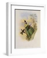 Beautiful Wood Star, Calothorax Pulchra-John Gould-Framed Giclee Print