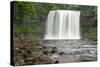 Beautiful Woodland Stream and Waterfall in Summer-Veneratio-Stretched Canvas