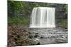 Beautiful Woodland Stream and Waterfall in Summer-Veneratio-Mounted Photographic Print