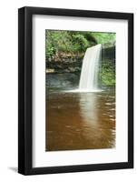 Beautiful Woodland Stream and Waterfall in Summer-Veneratio-Framed Photographic Print